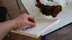 20140412_181559.jpg
