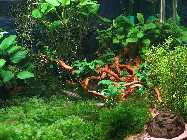 IMG_7711_Becken_16_12_07.jpg