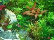 DSC00017.jpg