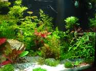 DSC00022.jpg
