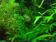 DSC00032.jpg