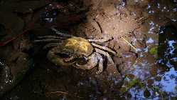 20141005_114722.jpg