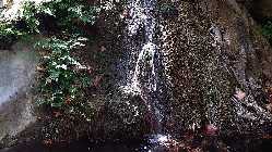 20141005_121701.jpg