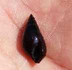 20141005_124621.jpg