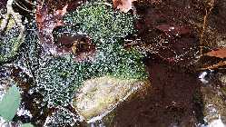 20141005_132412.jpg