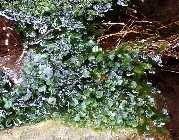 20141005_132412_2.jpg