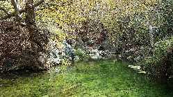 20141005_134319.jpg