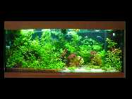 DSC00022.jpg