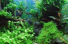IMG_3375a (Kopie).jpg