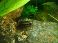 DSC00028.jpg