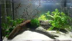 comp_Sandbank 013.jpg