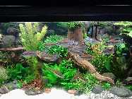 IMG_20150116_154049.jpg
