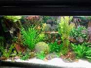 IMG_20150116_154121.jpg