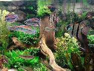 IMG_20150116_154219.jpg