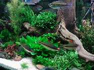 IMG_20150116_154415.jpg