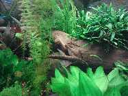 IMG_20150116_154713.jpg