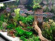 IMG_20150116_154741.jpg