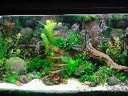 IMG_20150116_154834.jpg