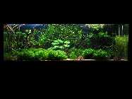 IMG_8095_Becken_05_02_08.jpg