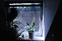 12.07.08 002_(800_x_600).jpg