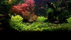 80421ec4.xl.jpg