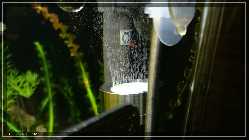 comp_23.02.2015b.jpg