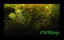 119LiterAug096.jpg