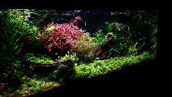 60031034.xl.jpg