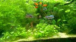 TFWP_20150413_11_44_57_Smart.jpg