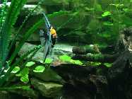 comp_IMG_2556.jpg