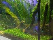 20151009_181142.jpg