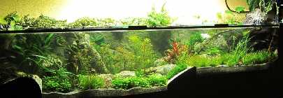 Aquarium 020.jpg