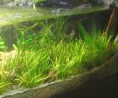 Aquarium 022 002.jpg