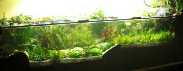 Aquarium 023 001.jpg