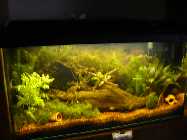 Bild 381.jpg