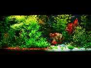 DSC00051.jpg