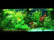 DSC00050.jpg