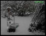 Regenwasserschnee.jpg