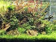 IMG_0610.jpg