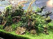 IMG_0621.jpg