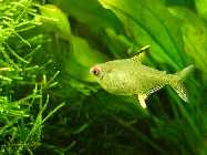 2008_06160068.jpg