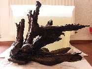 2008_08010018.jpg