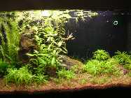 PICT0038.jpg