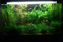 04.08.08 003_(800_x_600).jpg