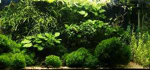 _A042457.jpg