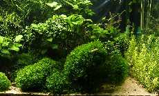 _A042481.jpg