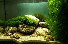 _A042439.jpg