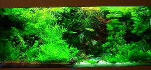 DSC00087.jpg