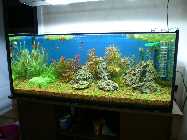 P1000415.jpg