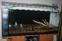 IMG_3658f.jpg